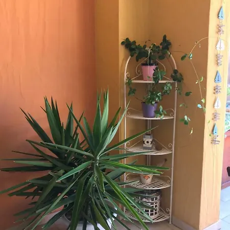 Attico Stefania 维拉西米乌斯
